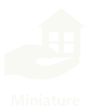 miniatureeng
