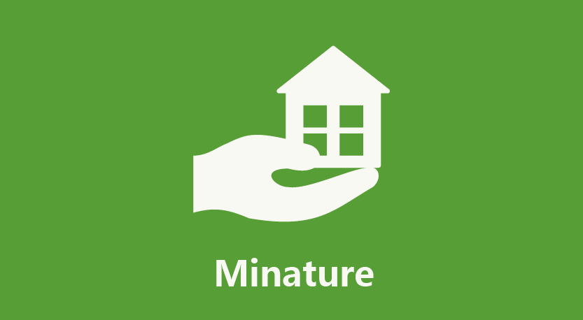 miniature